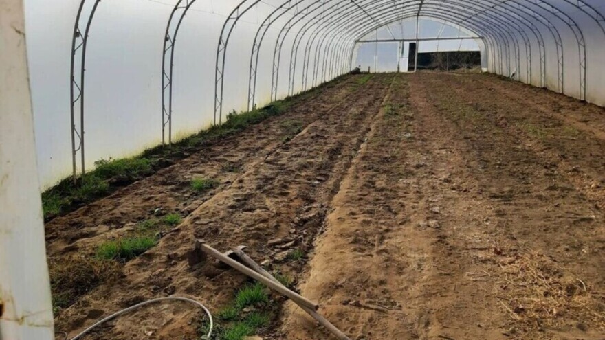 Kako izabrati pravo mjesto za plastenik?