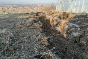 Zelenišno đubrivo dobro za nadoknadu organske materije u tlu
