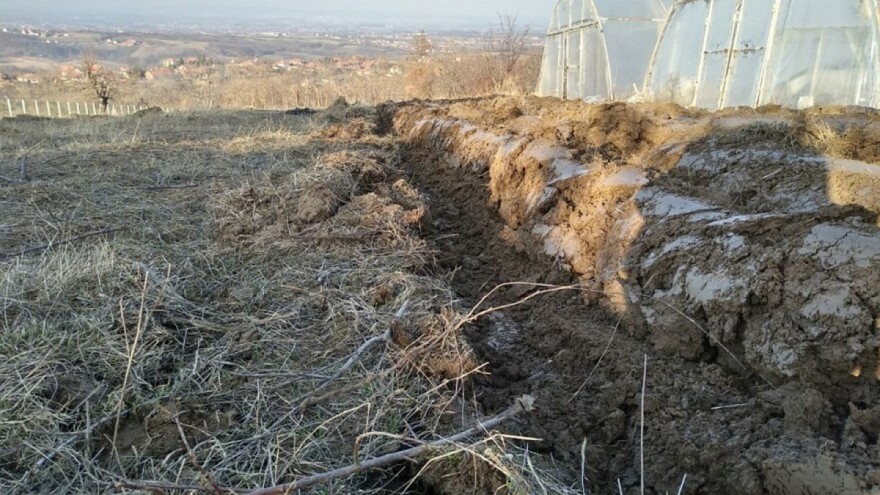 Zelenišno đubrivo dobro za nadoknadu organske materije u tlu