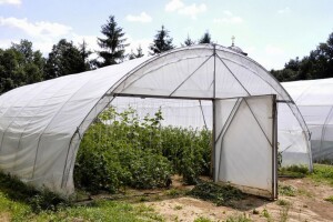 Podjela besplatnih plastenika u toku, pomoć će dobiti i malinari i pčelari