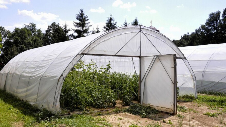 Podjela besplatnih plastenika u toku, pomoć će dobiti i malinari i pčelari