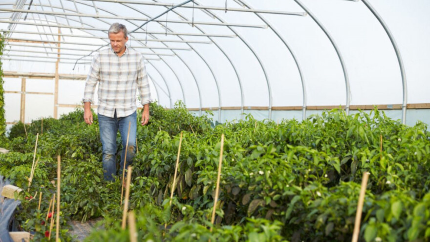 Isplata avansa izravnih potpora u studenom!