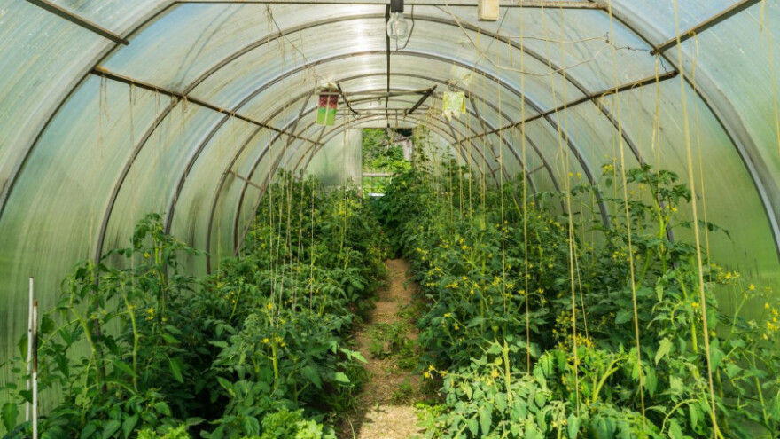 Bitni kvalitet i količina vode