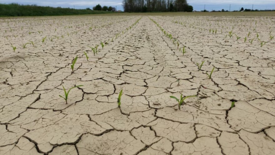Kako će izgledati naša klima za 50 godina?