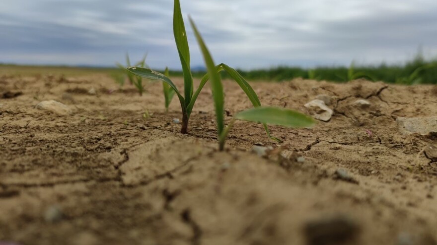 Zemljište Srbije u visokom riziku od degradacije?