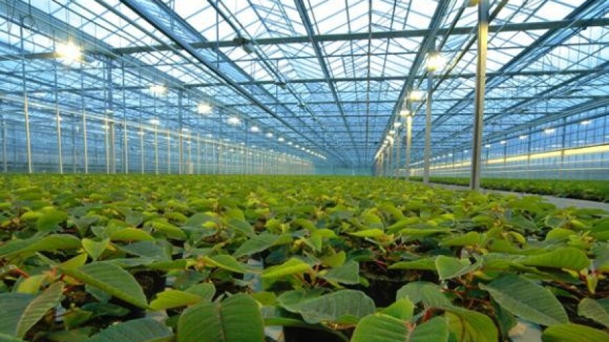 Dan povrća Koprivničko-križevačke županije