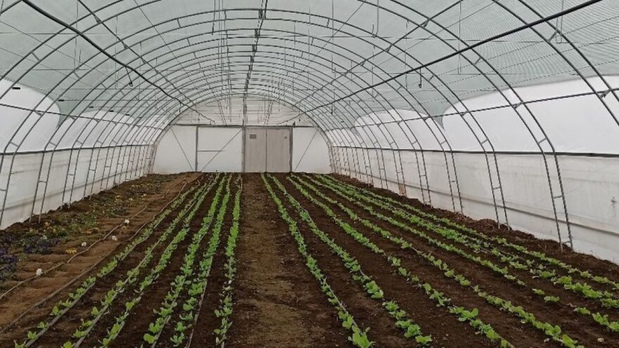 Najmoderniji plastenik ima poljoprivredna škola u Rumi