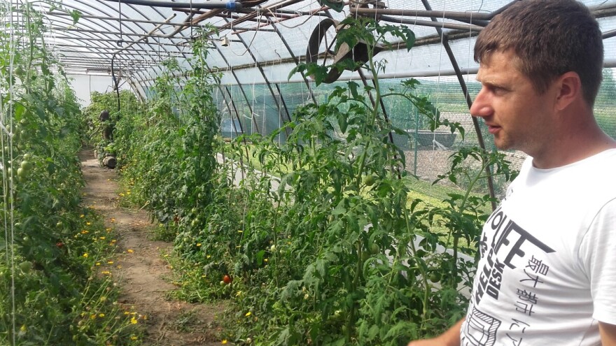 Kako podržati male organske proizvođače?