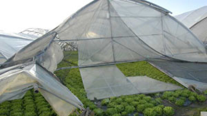 Dubrovačko-neretvanska županija sufinancira premije osiguranja u poljoprivredi