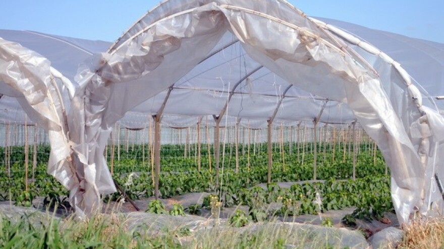 Zaštićeni prostori za stabilnost proizvodnje