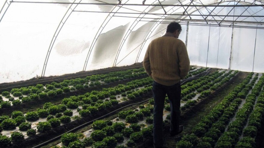 EU obnavlja poljoprivrednu proizvodnju