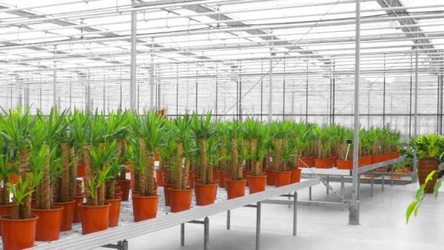 Geotermalni resursi za grejanje plastenika