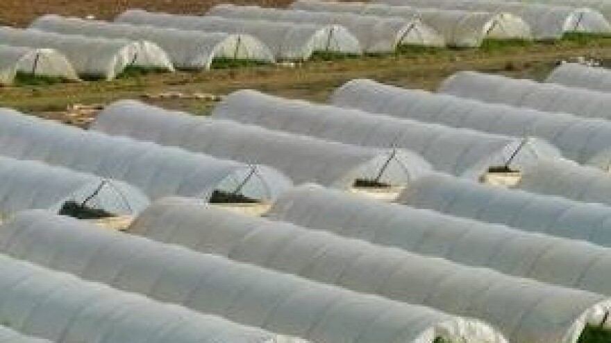 Misli globalno, djeluj lokalno