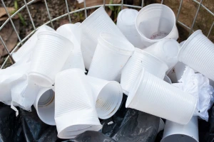 Francuska zabranila upotrebu plastičnog posuđa