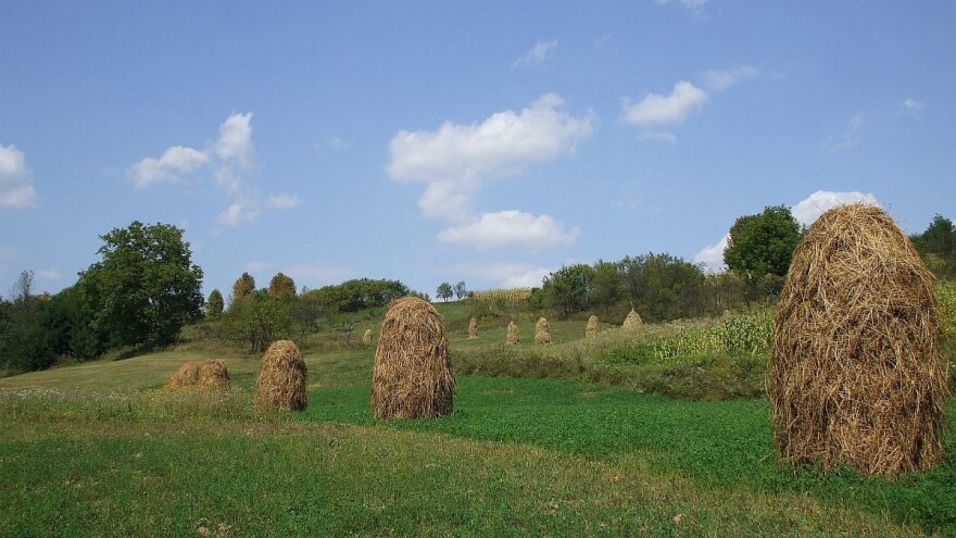 Kako najbolje sačuvati sijeno za zimu?