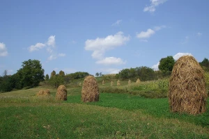 Kako najbolje sačuvati seno za zimu?