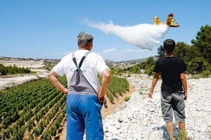 Kanader mi morem zalijeva plavac, a moram biti sretan
