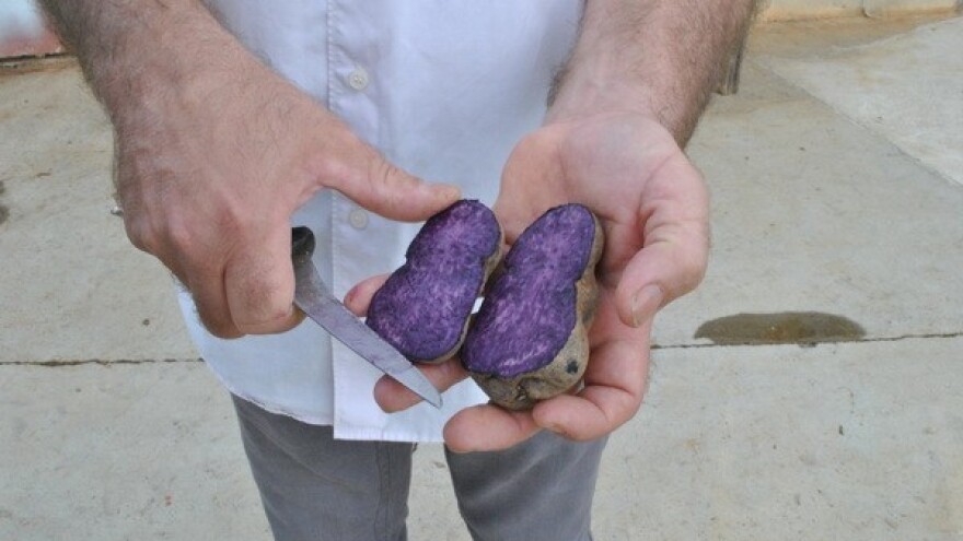 Profitabilnije kulture u zamjenu za tradiciju!