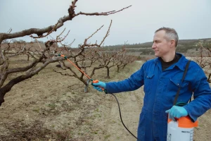 "Plavo kupanje" voćaka: Koje pripravke preporučuje struka?