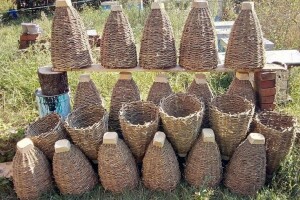 Pletare - stare košnice u kojima su pčele zdravije i daju kvalitetniji med