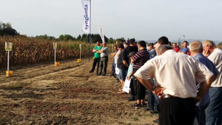 Na zaradionici predstava novih hibrida kukuruza!