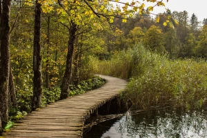 Novih 40 ugovora vrijednih više od 26 milijuna kuna iz Programa ruralnog razvoja