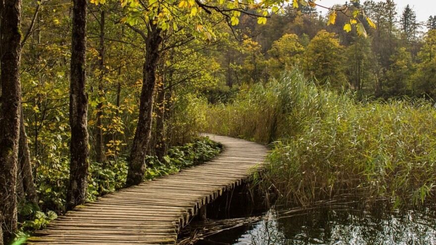 Novih 40 ugovora vrijednih više od 26 milijuna kuna iz Programa ruralnog razvoja