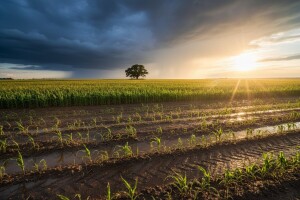 Pljuskovi opet remete stabilnost vremena
