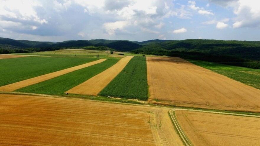 Život, za razliku od zemljišta - nema cijenu