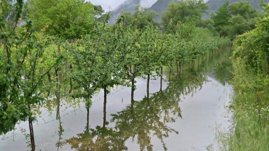 Kako se procenjuje šteta na poljoprivrednim kulturama?