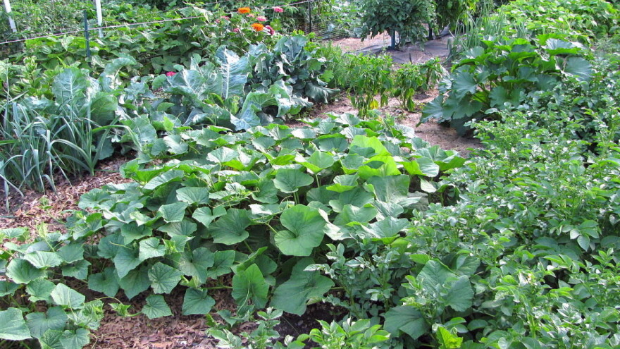 Plodored je važan jer promjena godi biljkama, čuva ih od štetnika, obogaćuje zemlju i osigurava visoke prinose