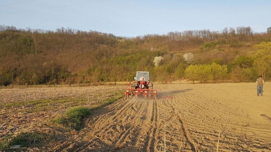 Stručnjaci savjetuju: leptirnjače uzgajati u tropoljnom plodoredu