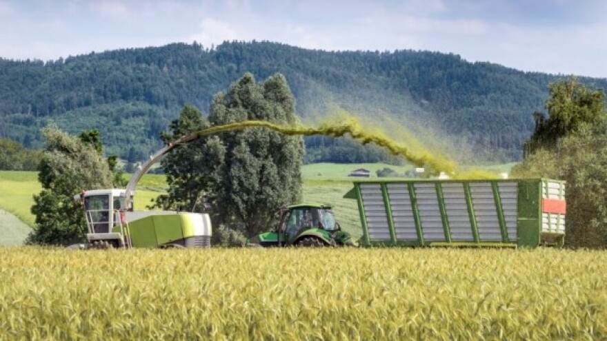 Kako planirati plodored u ratarstvu?