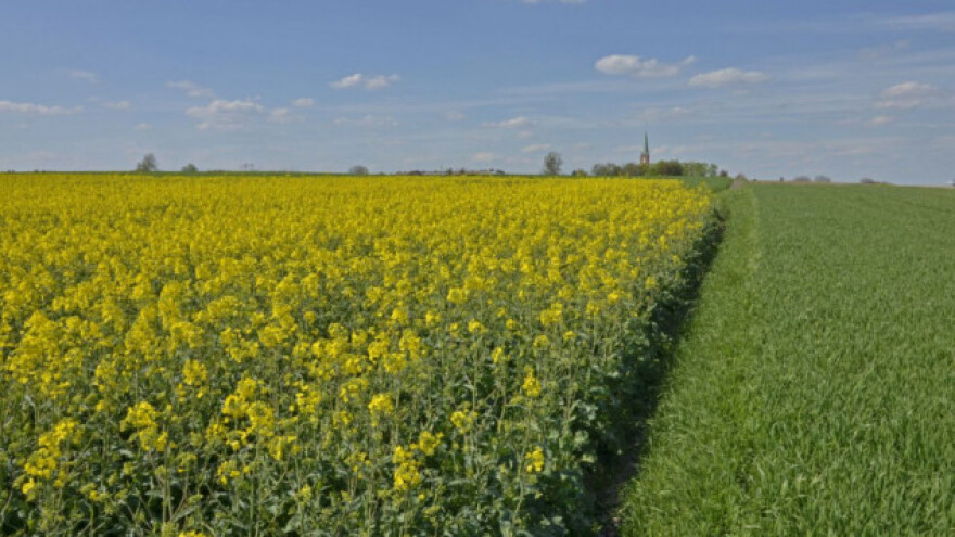 Šta treba znati pri planiranju plodoreda