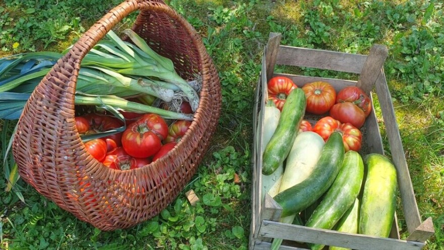 Može li baštovanka na godišnji?