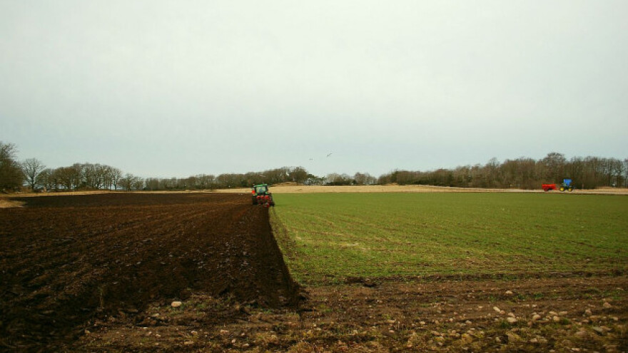 Bečej: Analiza zemljišta o trošku Opštine