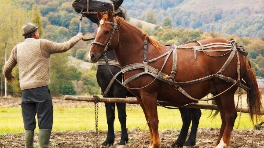 OLT - ne ide, pa ne ide