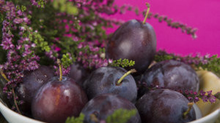 6. Šljivarijada u Dropkovcu