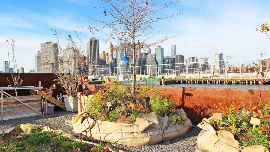 Beru povrće koje raste na brodu - budućnost poljoprivrede?