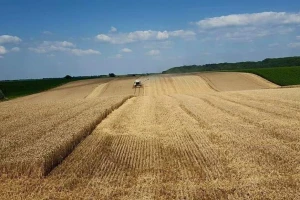 U početku imao jedva četiri, danas Božidar Šarčević obrađuje 250 ha i - zapošljava!