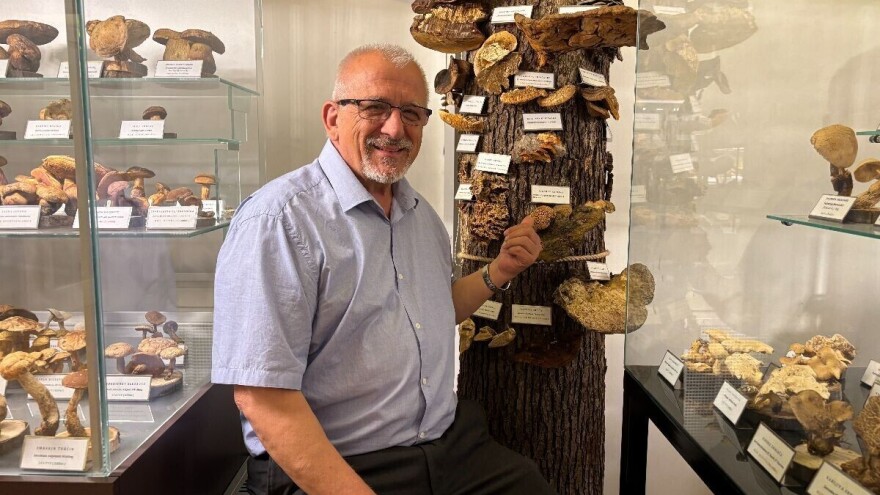 Po pitanju očuvanja Muzeja gljiva svi se prave - gljivama