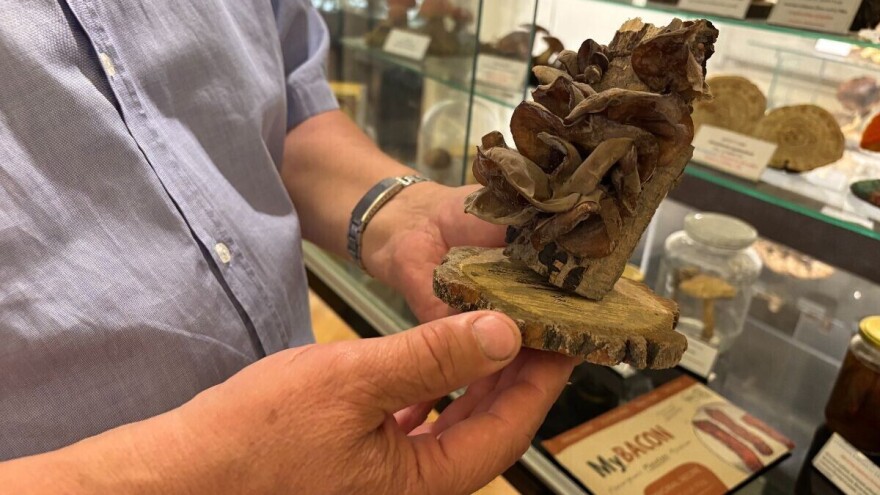 Muzej gljiva ostaje na svojoj lokaciji, upravljanje preuzima Hrvatski lovački savez