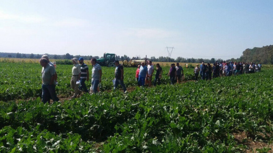 Što mora sadržavati poslovni plan Mjere 9?