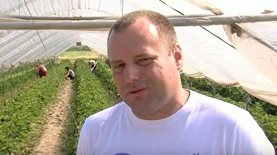 Jagode proizvođačima donose prvi novac u sezoni