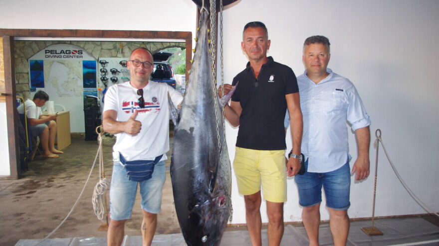 Povratak tune na sjeverni Jadran dokazuje srpanjski ulov jedinke od 75,5 kg