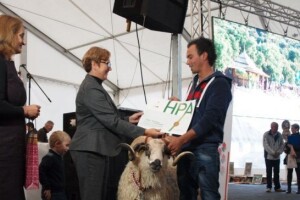 Nagrađena najbolja grla ovaca ličke pramenke