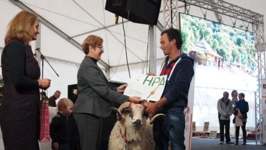 Nagrađena najbolja grla ovaca ličke pramenke