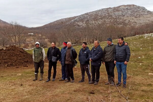 Pobuna stočara: Od 300 ha šumskog zemljišta, 280 jednoj osobi, a nas može i vrag odnijeti?