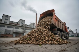 Počela 67. kampanja prerade šećerne repe