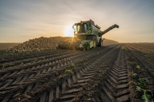 Počela kampanja šećerne repe